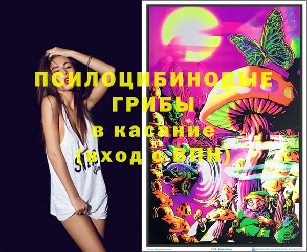 дживик Бугульма