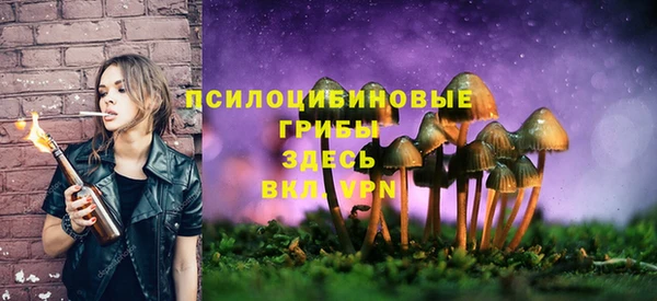 альфа пвп Белокуриха