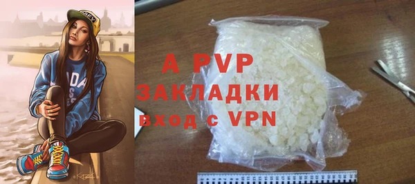 стаф Белоозёрский