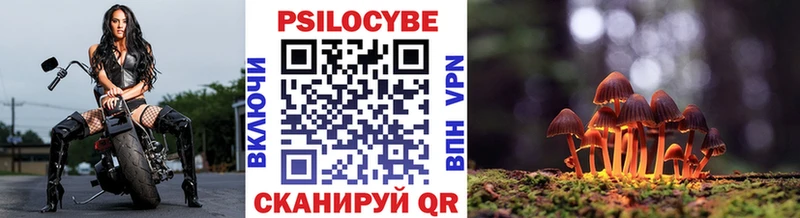 Псилоцибиновые грибы Psilocybine cubensis  Купить закладки  Кузнецк 